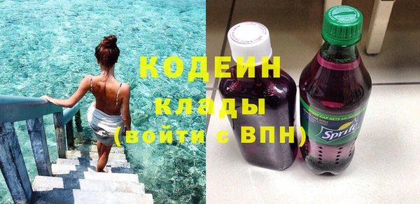 твердый Ельня