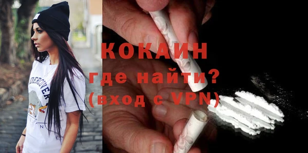 твердый Ельня