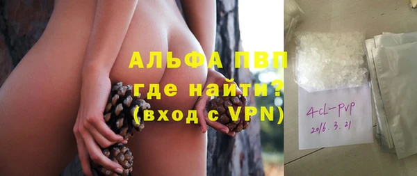 твердый Ельня