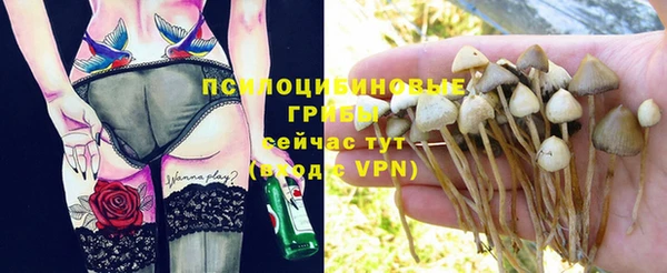 каннабис Дмитров