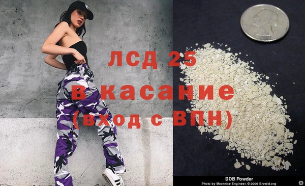 твердый Ельня